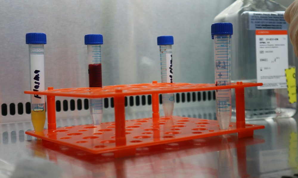 Mesterolon: oestrogene en progestagene activiteit